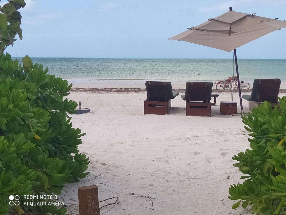 Mi Habitat Holbox-Maravilla Natural Exteriér fotografie