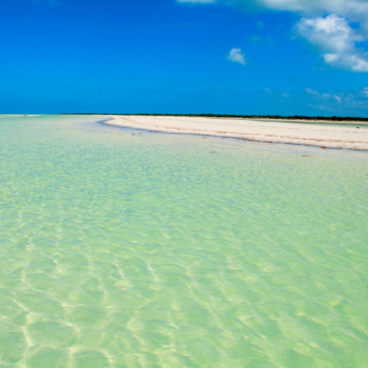 Mi Habitat Holbox-Maravilla Natural Exteriér fotografie