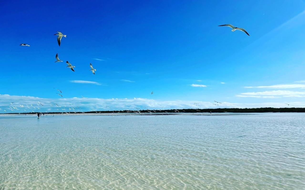 Mi Habitat Holbox-Maravilla Natural Exteriér fotografie