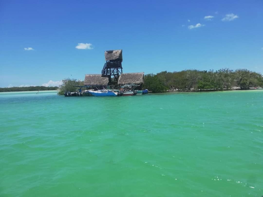 Mi Habitat Holbox-Maravilla Natural Exteriér fotografie