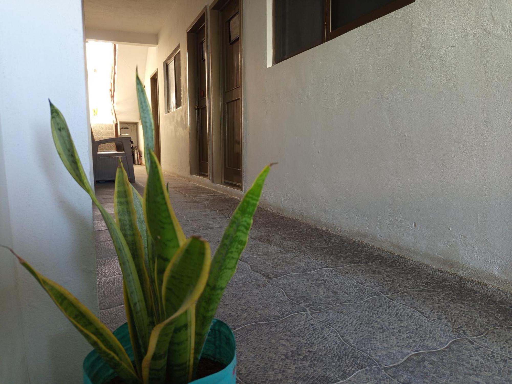 Mi Habitat Holbox-Maravilla Natural Exteriér fotografie