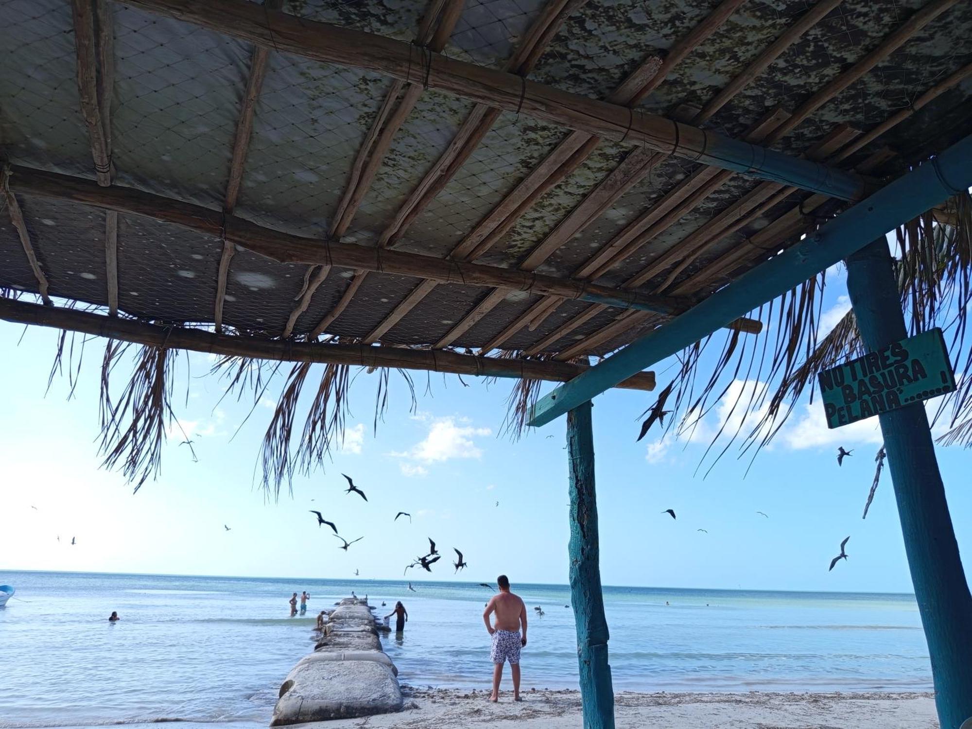 Mi Habitat Holbox-Maravilla Natural Exteriér fotografie